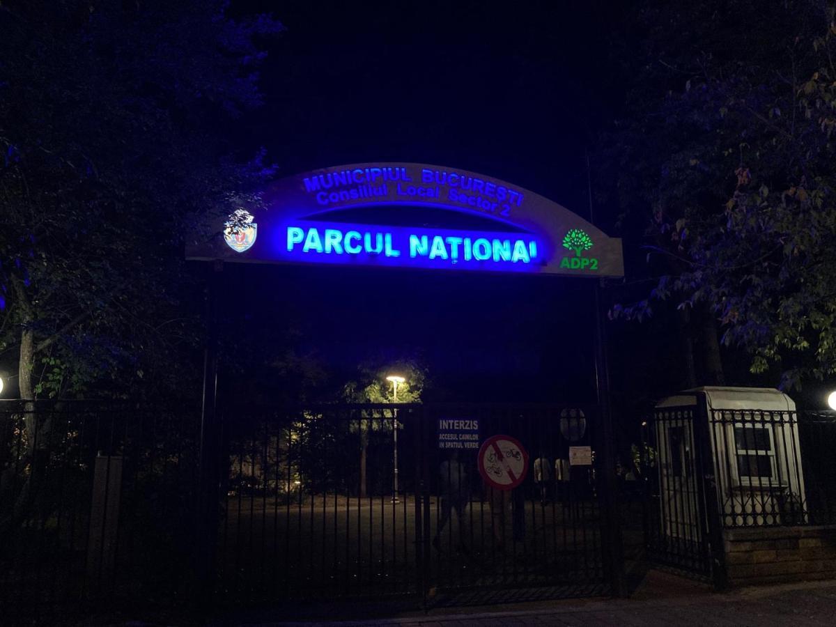 Royal Studio National Arena - Free Parking Бухарест Экстерьер фото